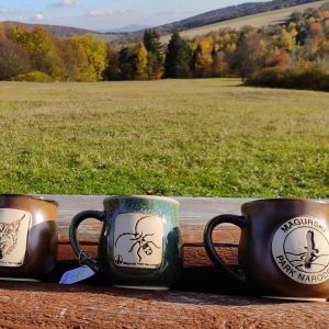 312486798_648541813332510_1106550250349235148_n